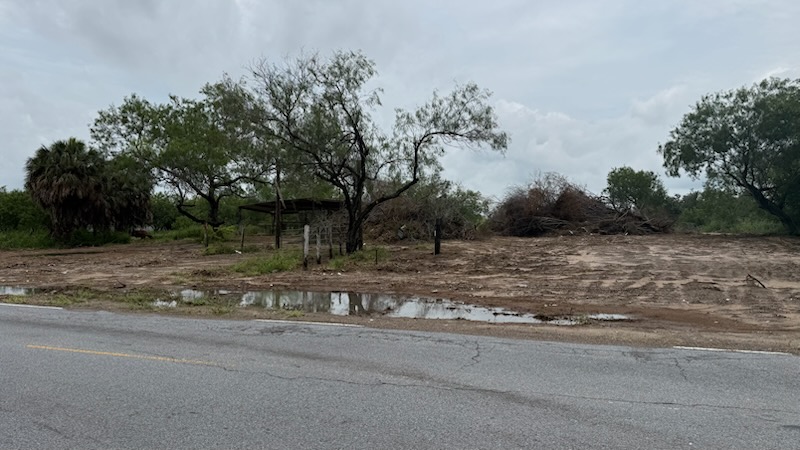 weslaco real estate